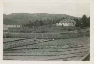 Image of School house after Newfoundland government took it over